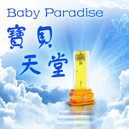 Baby Paradise